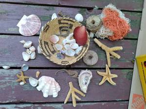 lot 50 image: Basket Full of Shells, Coal Pieces...