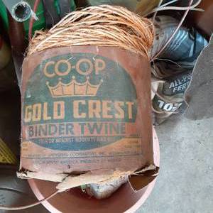 lot 197 image: Garden and Yard care lot Black and...