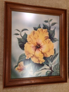 Framed Hawaiian Prints by Ted Mundorf