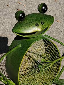 Garden Decor Frog