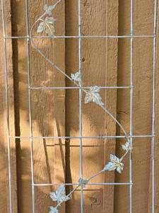 Metal Garden Trellis