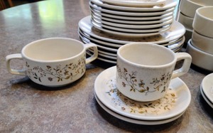 Temper-Ware by Lennox Dish Set