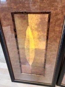Pair of Framed Leaf Prints