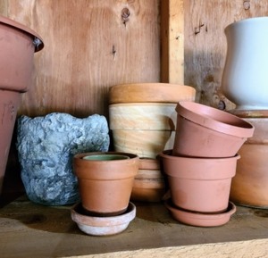 Assorted Planters and Pots