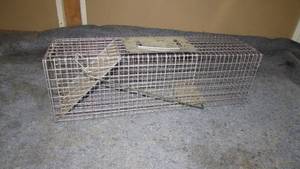lot 7 image: Live Trap
