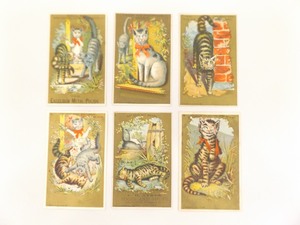 6 Antique Humanized Cat Trade Cards