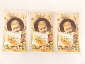 3 Antique Daisy Buggies Trade Cards