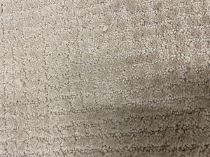 378 SF of Lovely Stain Proof Cut-Loop Carpet - Color 743
