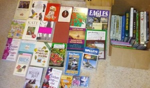 lot 44 image: Adult books, dozens
