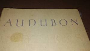 lot 130 image: Prints 50 Audubon-Birds of America.