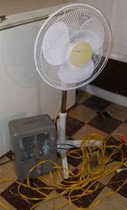 lot 175 image: Pedestal fan, heater, and extension cord. (All working)