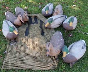 DECOYS