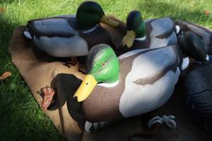DECOYS