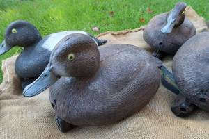 DECOYS