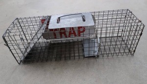 LIVE TRAP