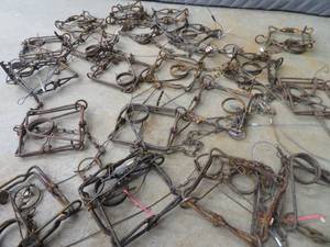 20 CONIBEARS TRAPS