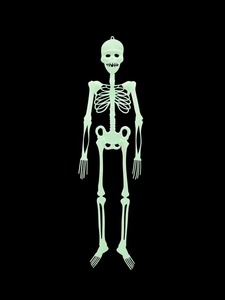 1pc Halloween Skull Shaped Luminous Hanging Decoration