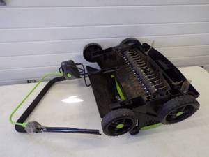 Dethatcher 110v