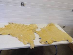 Deer Hide