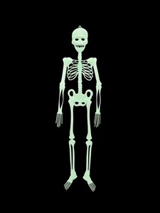 lot 26 image: 1pc Halloween Skull Shaped Luminous Hanging Decoration