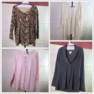 4 Piece Womens Cardigan Collection (M,XL,XXL,XXXL) LL Bean Studio Evan Picone Charter Club