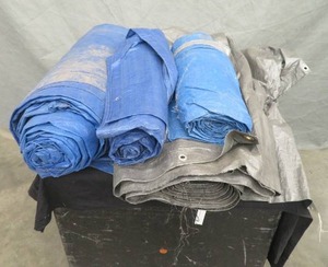 lot 95 image: TARPS