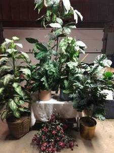 lot 19 image: Variety of Silk Green Plants