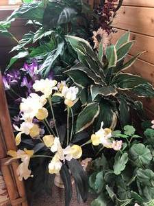 lot 40 image: Silk Florals and Greens
