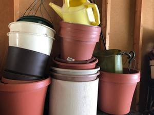 lot 73 image: Contents of Cabinet & Planters