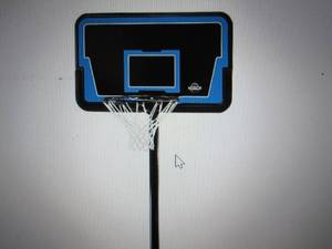 44 Lifetime High Impact basket bal...