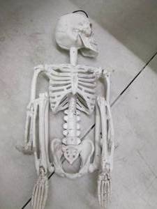 Halloween door hanging skeleton dec...