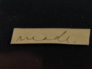 lot 145 image: President Calvin Coolidge Authentic, Original Handwriting in Beautiful Frame Presentation Beckett Authenticated