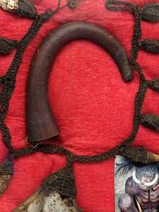 lot 113 image: Rare Headhunter  Cannibal Dani Tribe Dani Tribe Koteka (Penis Sheaf) and Decorative Shell Necklace