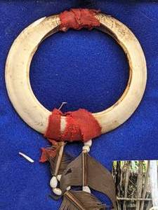 lot 114 image: Rare Headhunter  Cannibal Dani Tribe Animal Bone Nose Ring