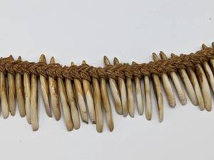 lot 116 image: Rare Headhunter  Cannibal Dani Tribe Ceremonial Tribal Animal Tooth Necklace