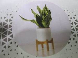2 Midcentury Planter Pot & Stands...