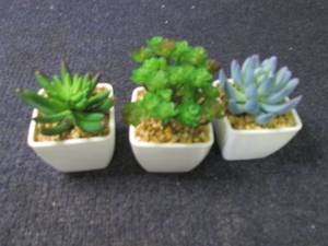 3 Faux Succulents...