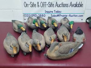 lot 14 image: Duck Decoys and bag