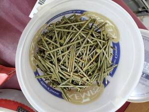 lot 52 image: pail of nails about half full
