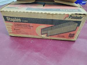 lot 64 image: Sealed Box 10,500 count 16GA - 1 12 Paslode Staples