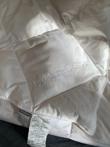 lot 40 image: Charter Club King Size Down Comforter