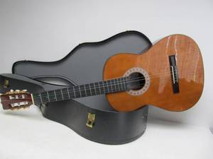 LUCIDA Acoustic Guitar wHard Case &amp Guitar Books