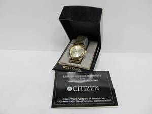 Mens Citizen WR-100 Watch