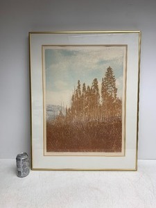 lot 102 image: Large Framed Signed Litho Print - January Windows II - Signed Phane