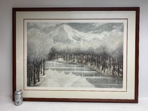 lot 117 image: Large Framed Signed Litho - Signed Pepper - Reflections