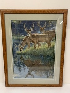 lot 266 image: Framed Signed Numbered Wildlife Deer Print