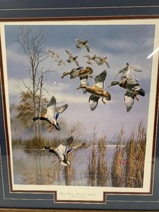lot 267 image: Framed Signed Numbered Wildlife Duck Print by David Maass - Misty Morning Revisited