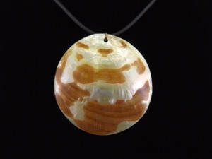 .925 Sterling Silver Clasp Shell Pendant and Leather&nbspNecklace