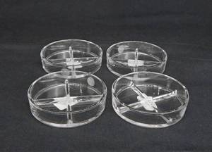 lot 101 image: Set of 4 Pyrex Glass Quadrant Petri Dishes