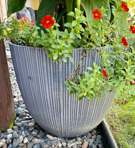 Plastic Planter